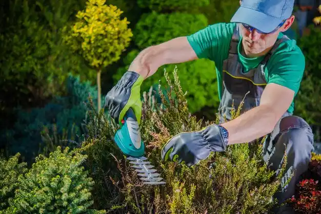 landscaping services West Alexandria